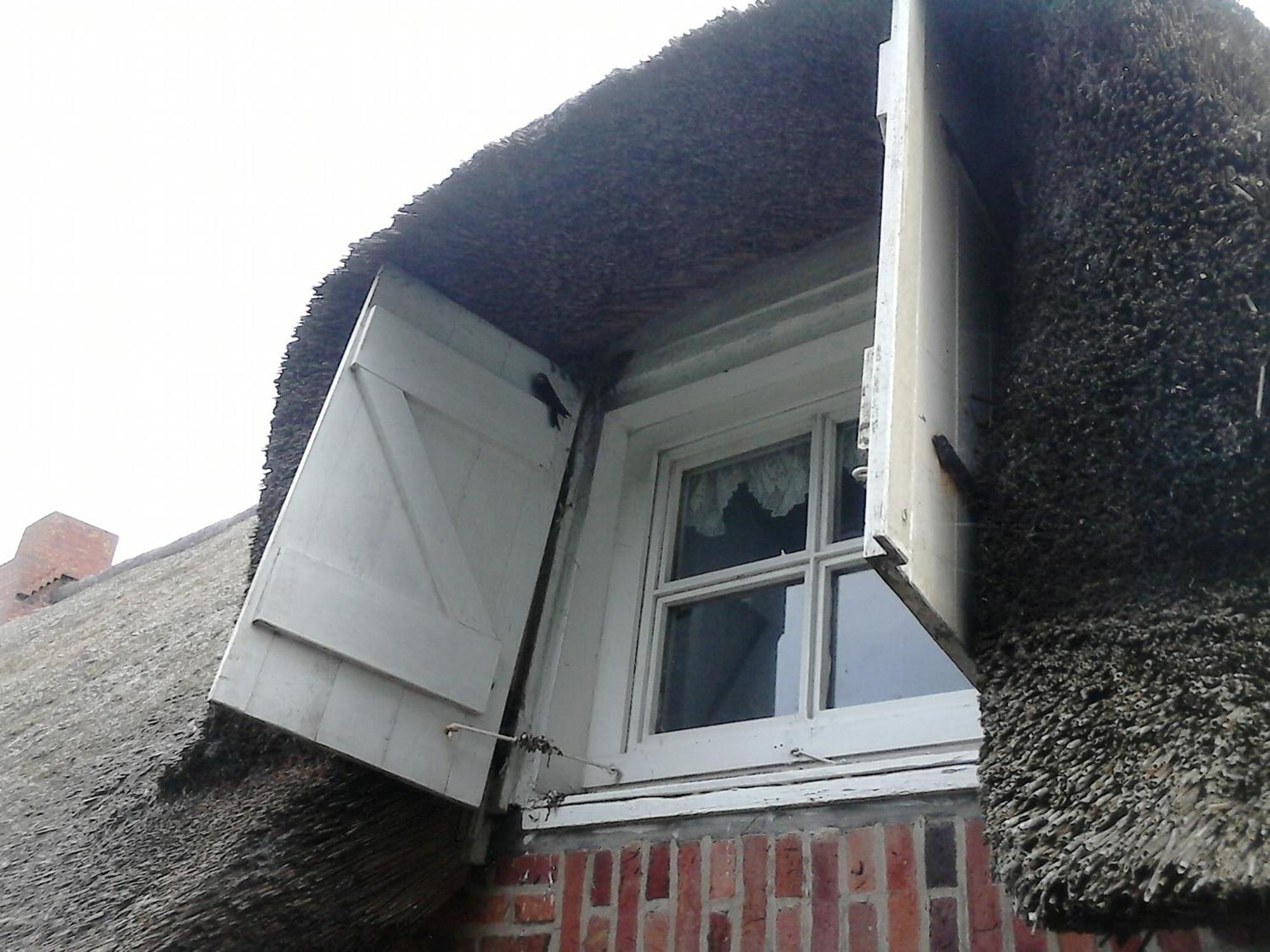 Friesenhaus Am Meer Dagebuell Exterior photo